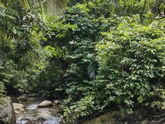 -通灵大峡谷