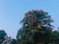 -南通濠河风景名胜区