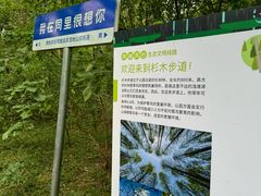-同里国家湿地公园