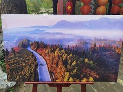 -塔川景区