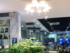 大堂-金龙·打边炉(武进路店)