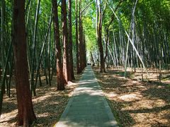 -同里国家湿地公园