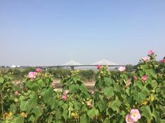 -杏花村文化旅游区