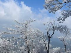 -莫干山风景区