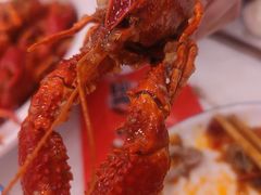 -簋街仔仔小龙虾(总店)
