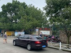 -嘉定紫藤园