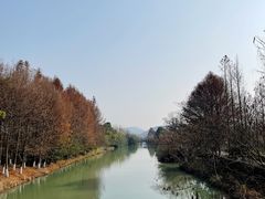 -苏州太湖国家湿地公园