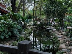 -成都市活水公园