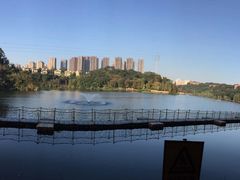 -重庆彩云湖湿地公园