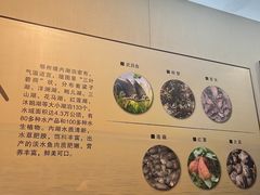 -鄂州市博物馆