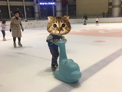 -成都冰纷万象滑冰场