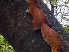 -终南山南五台景区