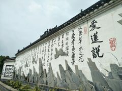 -建华生态湿地百荷园