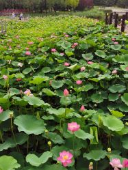 -大望京儿童游乐场