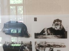 -北京动物园-畅观楼