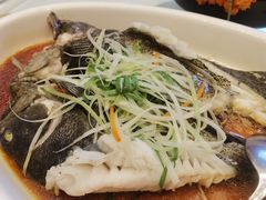 -国惠大酒楼(宝龙店)
