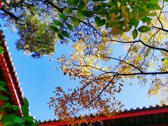 -陆军讲武堂旧址
