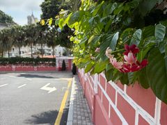 -主教山小堂