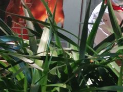 -北方家宴(番禺永旺店)