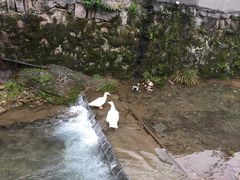 -会稽山峡洞漂流-上青古道