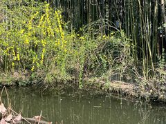 -成都杜甫草堂博物馆