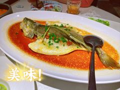 -维园悦谱·海派家常菜(乌鲁木齐南路店)