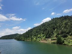 -四明山国家森林公园