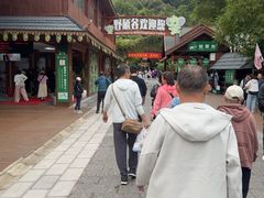 -野象谷景区