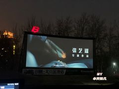 -枫花园汽车电影院(朝阳公园店)