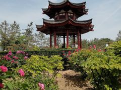 -大慈恩寺(大雁塔)