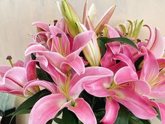 -森野花艺培训·企业团建活动沙龙