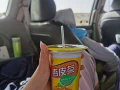 -星月美食城