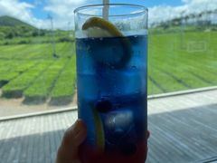 -雪绿茶博物馆