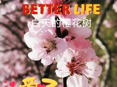 -新江湾城公园
