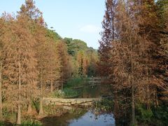 景点-云溪植物园
