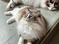 -白兔子密室(长寿路店)