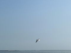 -奥冠体育华师附中恒温游泳馆