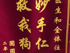 -瑞派天使宠物医院·神经外科·骨科·核磁(洛川中路店)