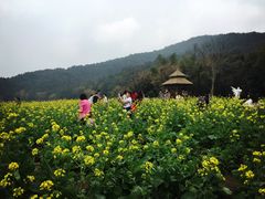 -广州市石门国家森林公园