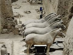 -秦始皇帝陵博物院(兵马俑)