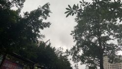 -海南省妇女儿童医学中心(龙昆南路院区)