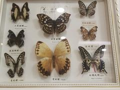 -村长家的疙瘩汤(淄博路店)