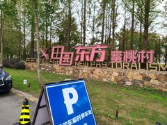 -田园东方蜜桃村的田野营地