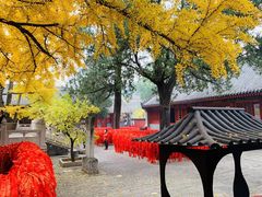 -红螺寺
