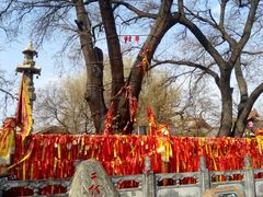 -大槐树寻根祭祖园
