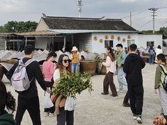 -苏州市吴中区光福窑上花果蜜饯厂