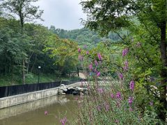 -白水寺森林公园