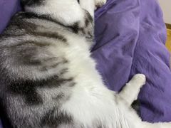 -北京恒爱动物医院(清景园分院)