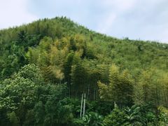 -井空里大峡谷