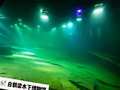 -白鹤梁水下博物馆
